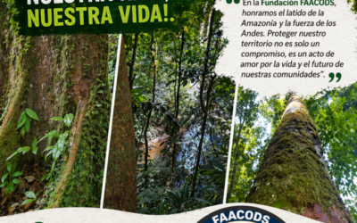 Que no solo sea cuestión de Calendario!
