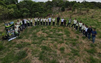 La Articulación comunitaria como eje de sostenibilidad.
